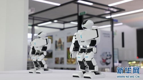 科技创新引领成都大运会，技术服务助力体育新体验